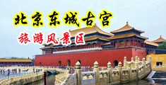 抠逼白浆中国北京-东城古宫旅游风景区